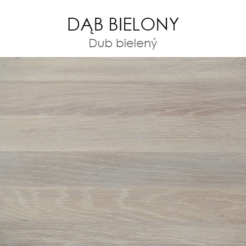 dąb bielony